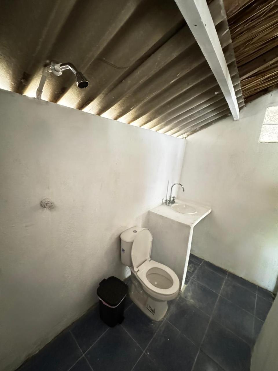 Eco Hotel Bosque Encantado Isla Grande  Extérieur photo